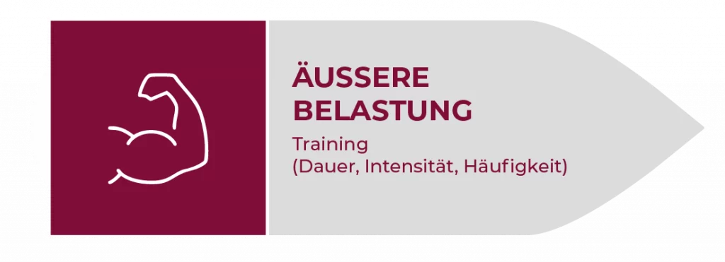 Biologisches Trainingsprinzip – Reiz-Anpassungs-Modell